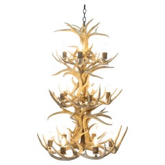 Lampadario in corno naturale Whitetail Niagara