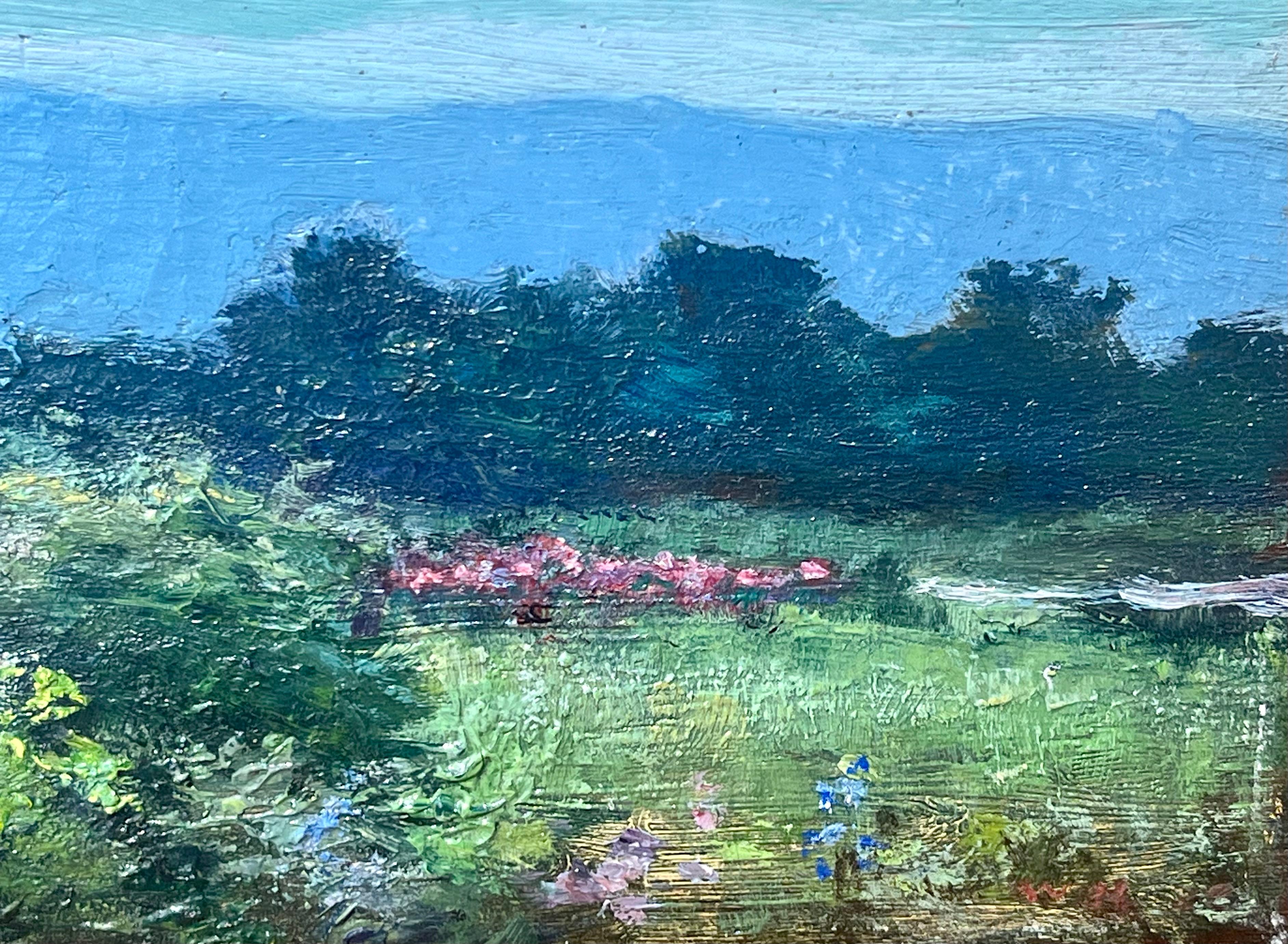 Campo de flores primaverales