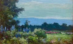 Campo de flores de primavera