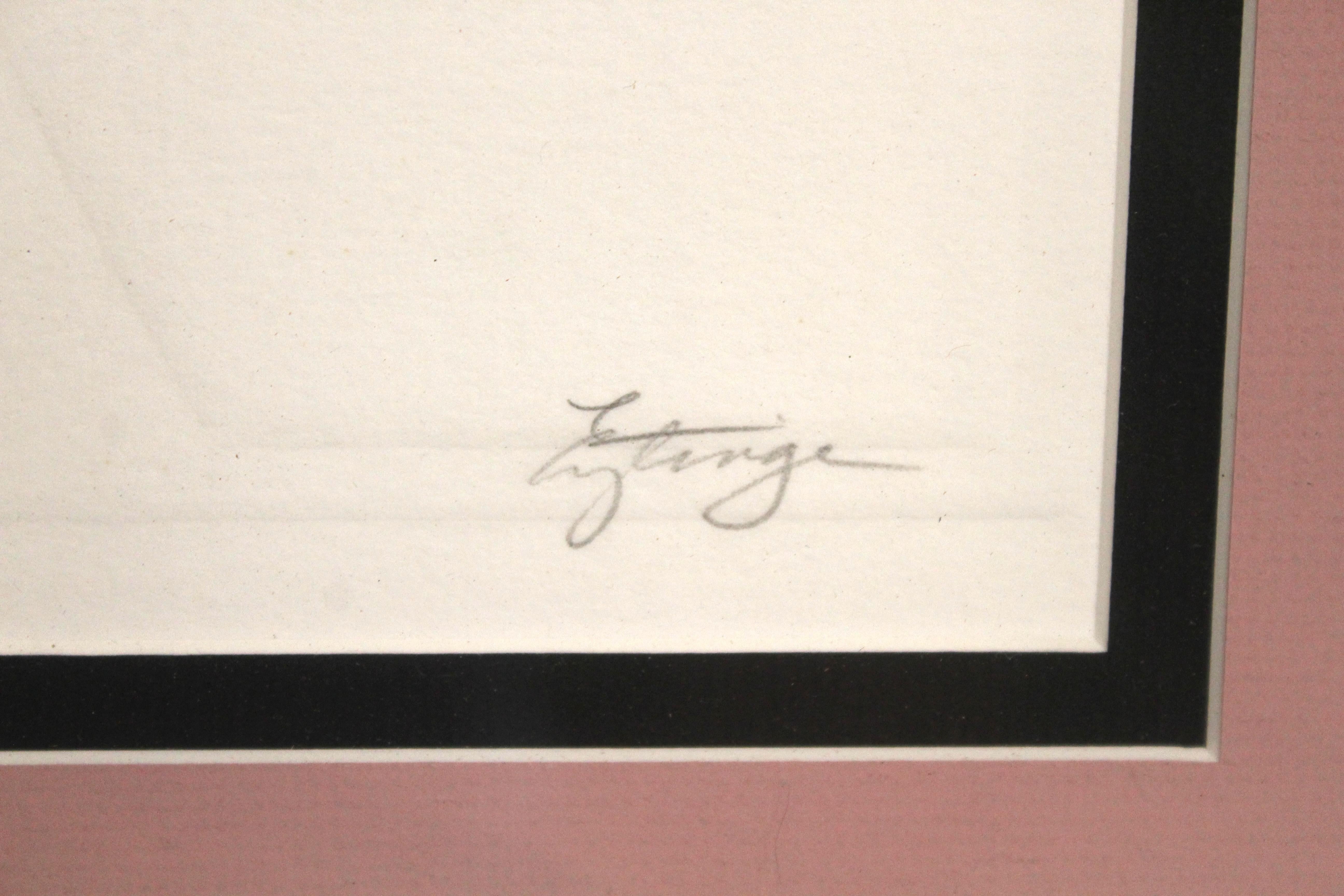 „Whooping Cranes“ von Carol Eytinge (1921 - 2003) (Papier) im Angebot