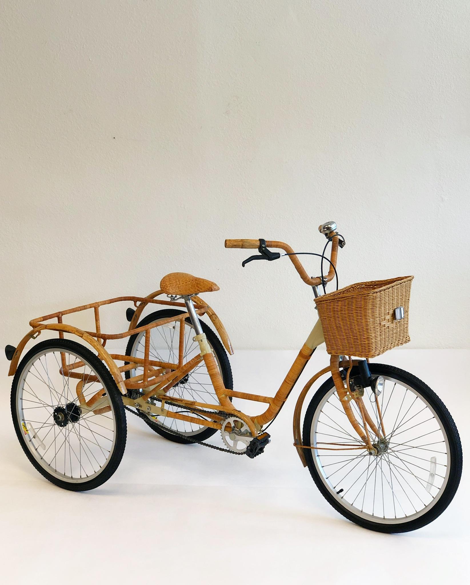 Steel Wicker and Bamboo Adult  Tricycle