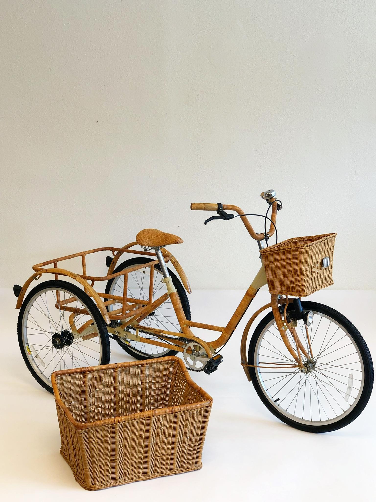 Wicker and Bamboo Adult  Tricycle 1