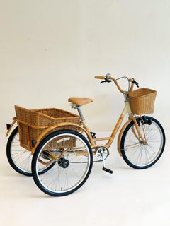 Wicker and Bamboo Adult  Tricycle