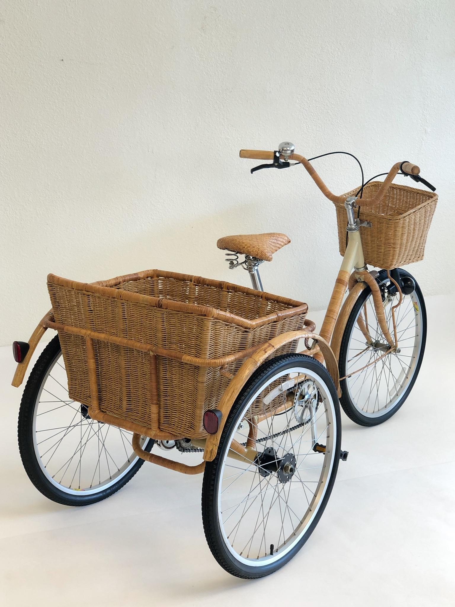 bamboo tricycle