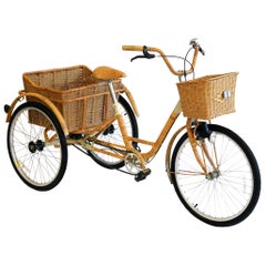 Dreirad aus Weide und Bambus für Erwachsene