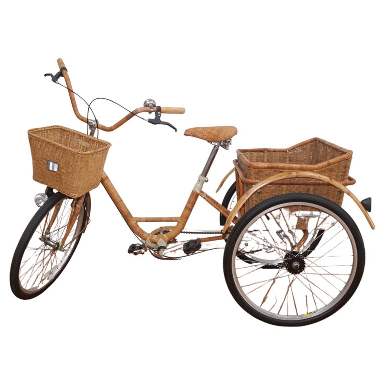 Tricycle adulte en osier et bambou En vente sur 1stDibs