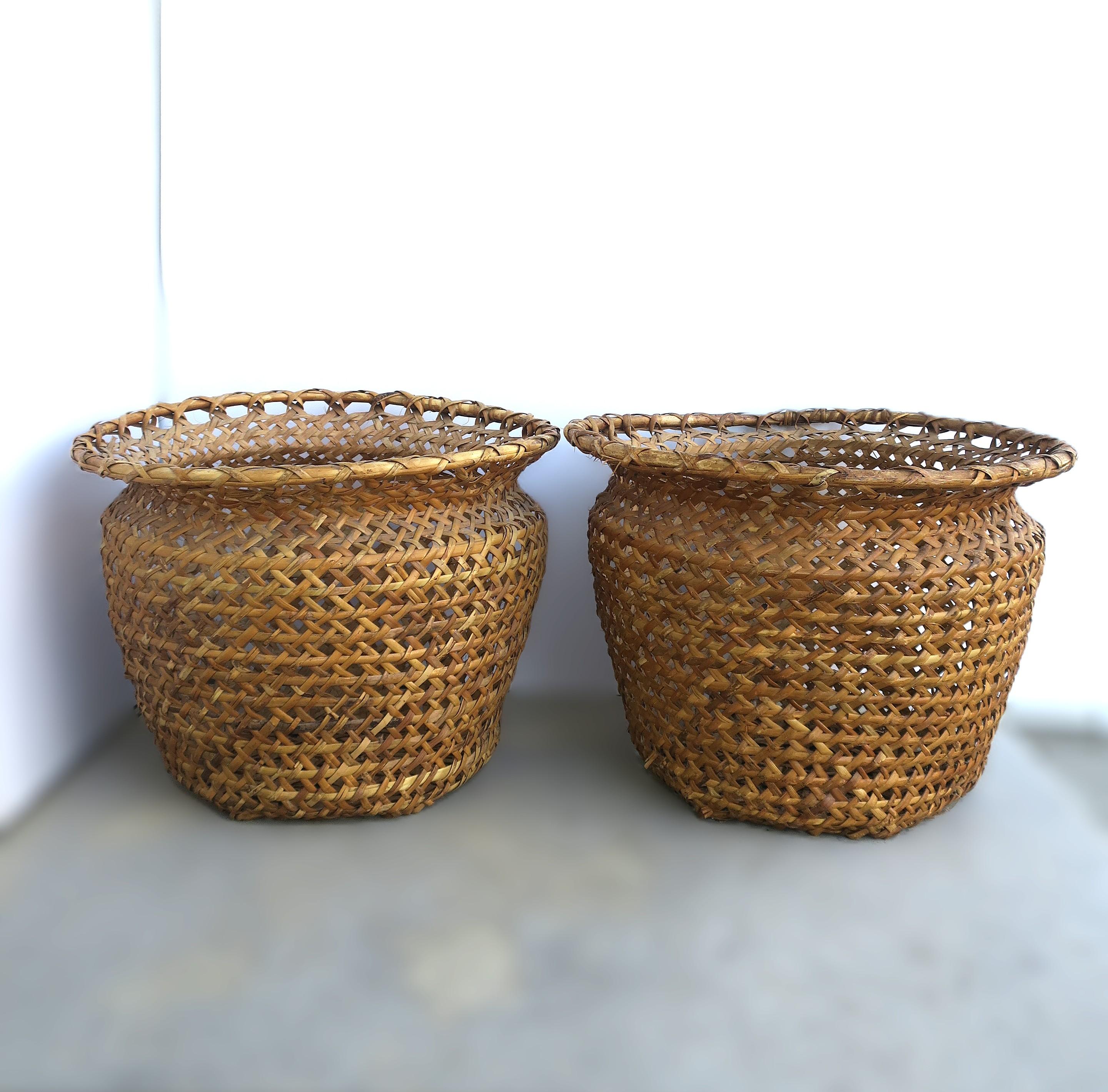 Wicker Basket Plant Cachepot im Angebot 4