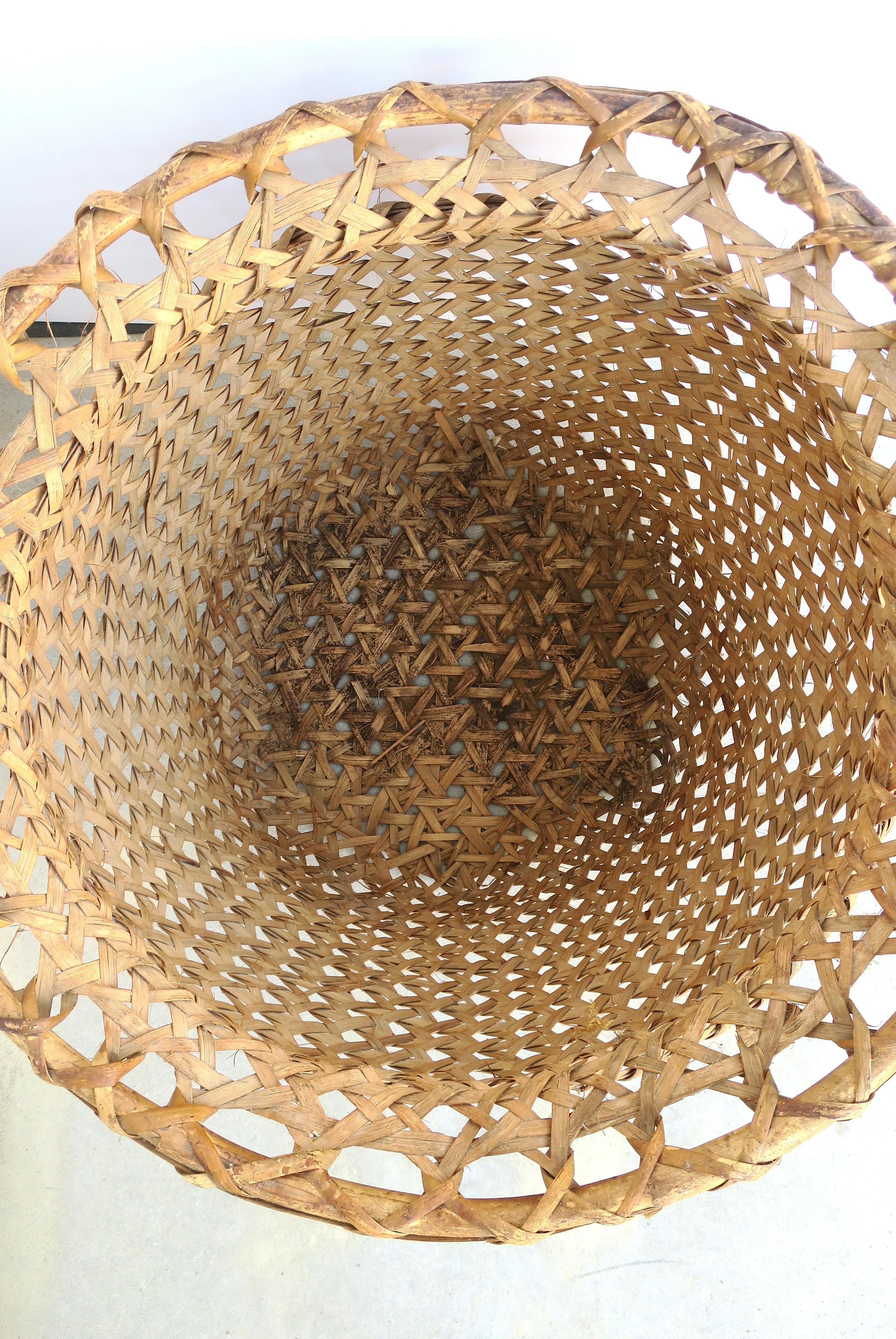 Wicker Basket Plant Cachepot im Angebot 5