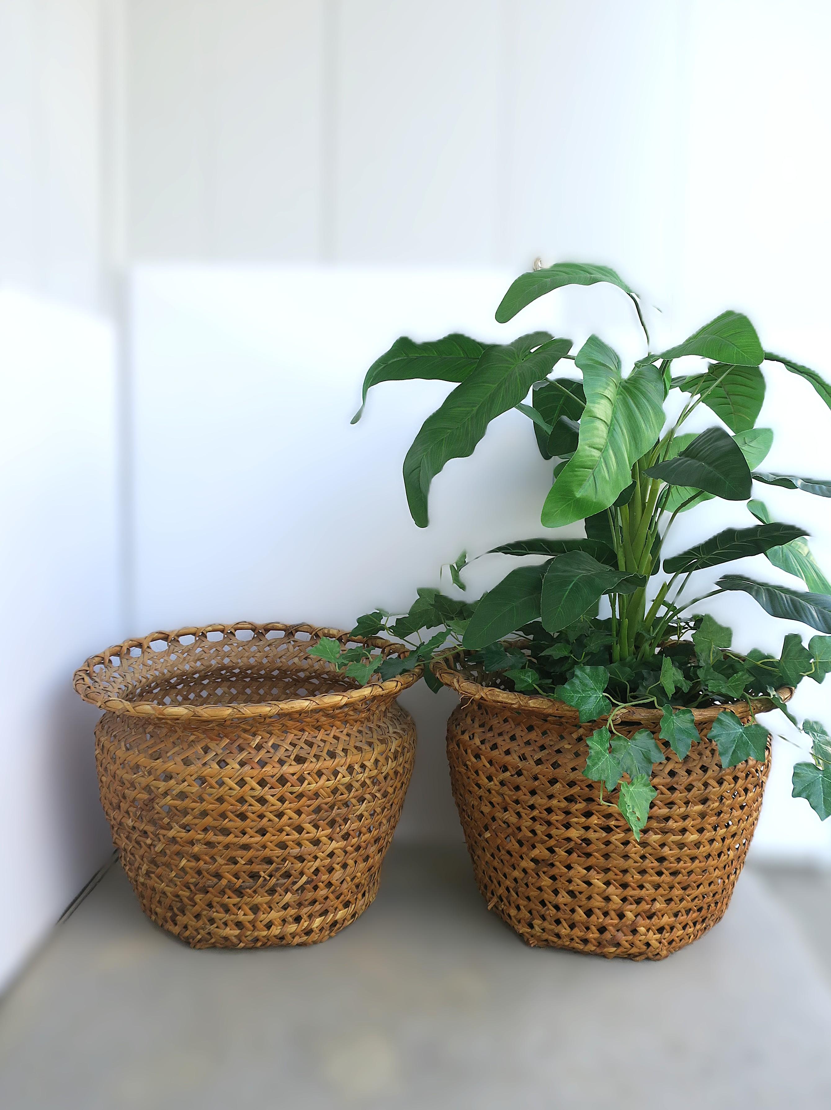 Wicker Basket Plant Cachepot im Angebot 6