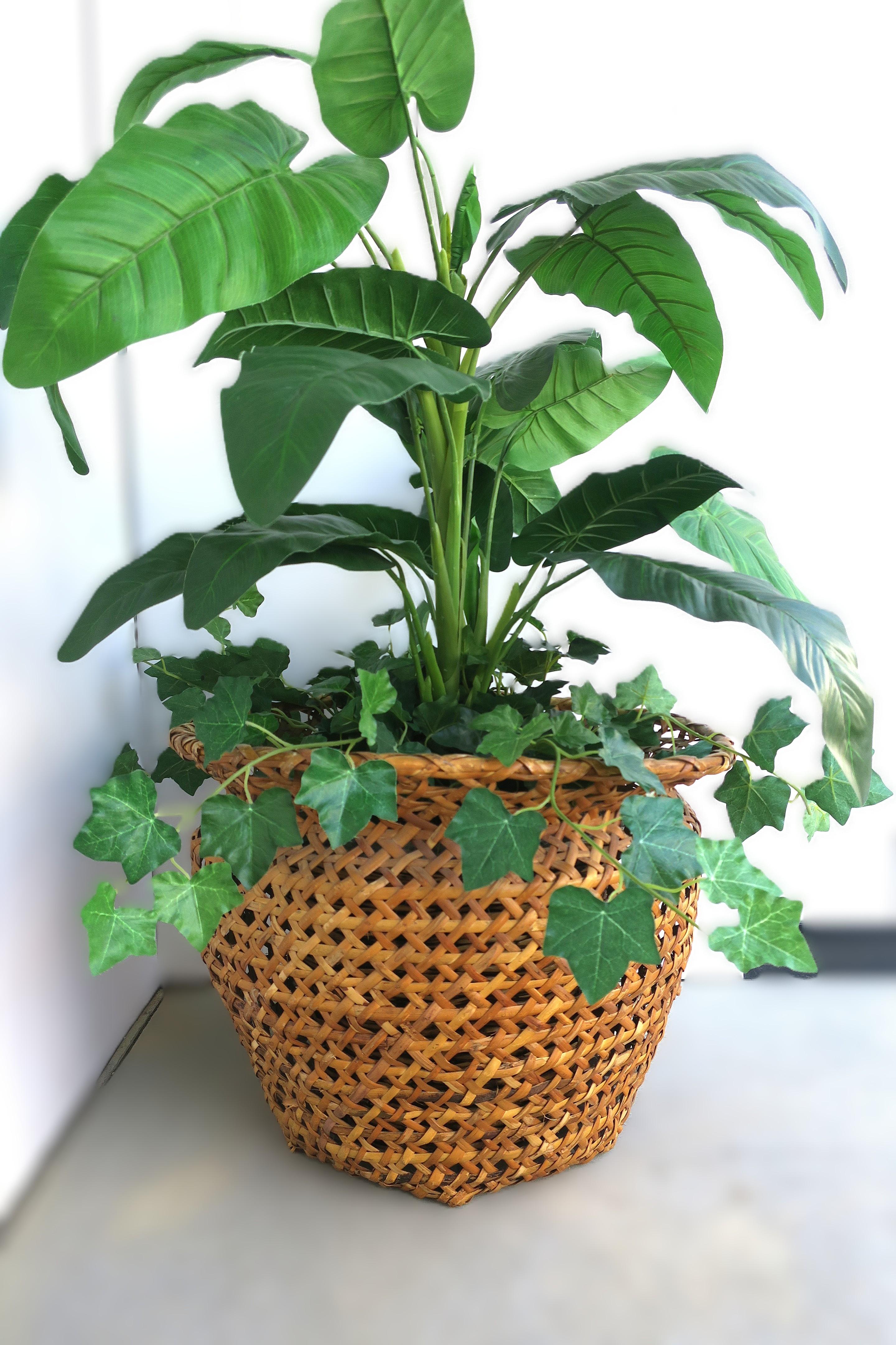 Wicker Basket Plant Cachepot (Böhmisch) im Angebot