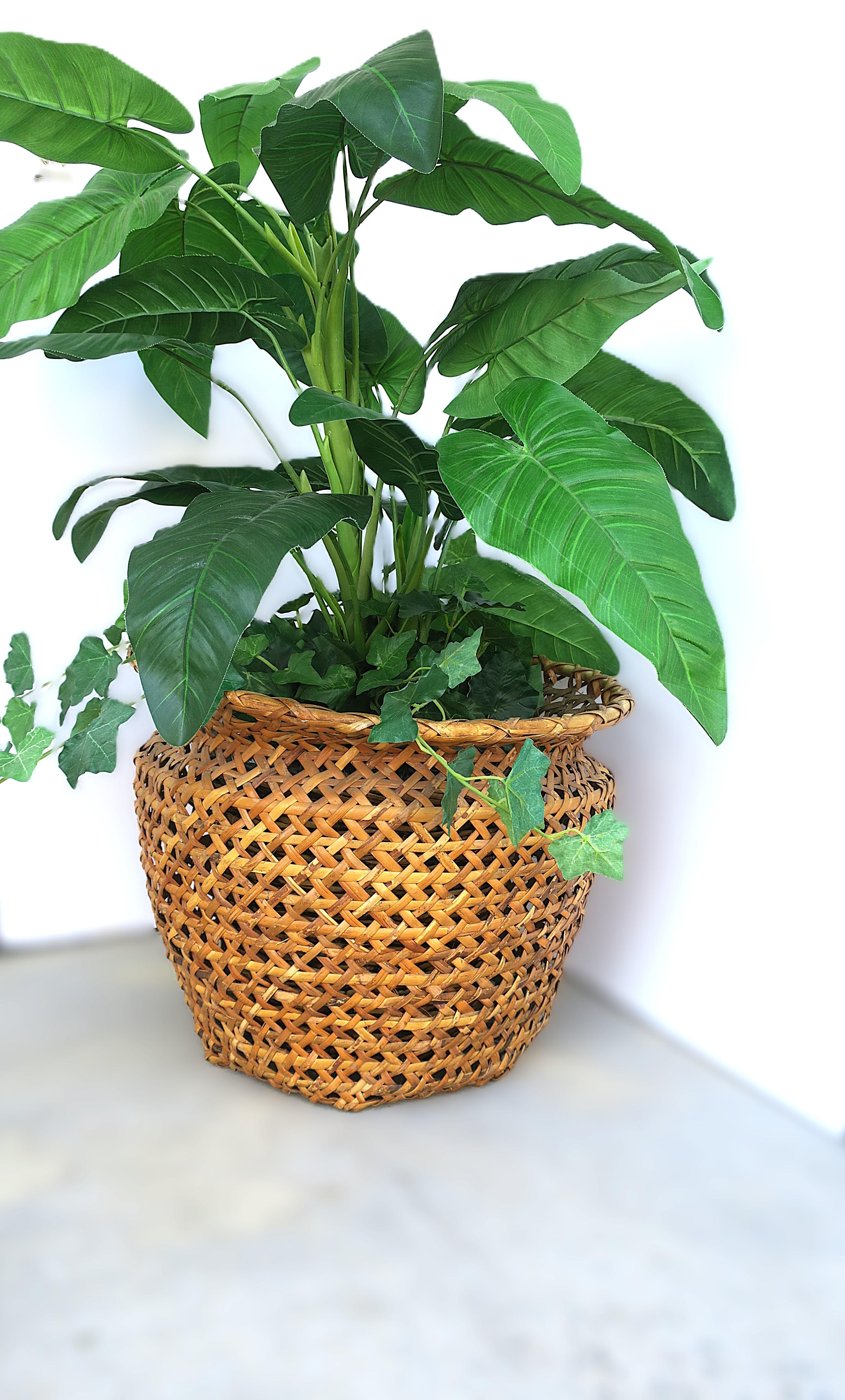 Wicker Basket Plant Cachepot (Korbweide) im Angebot