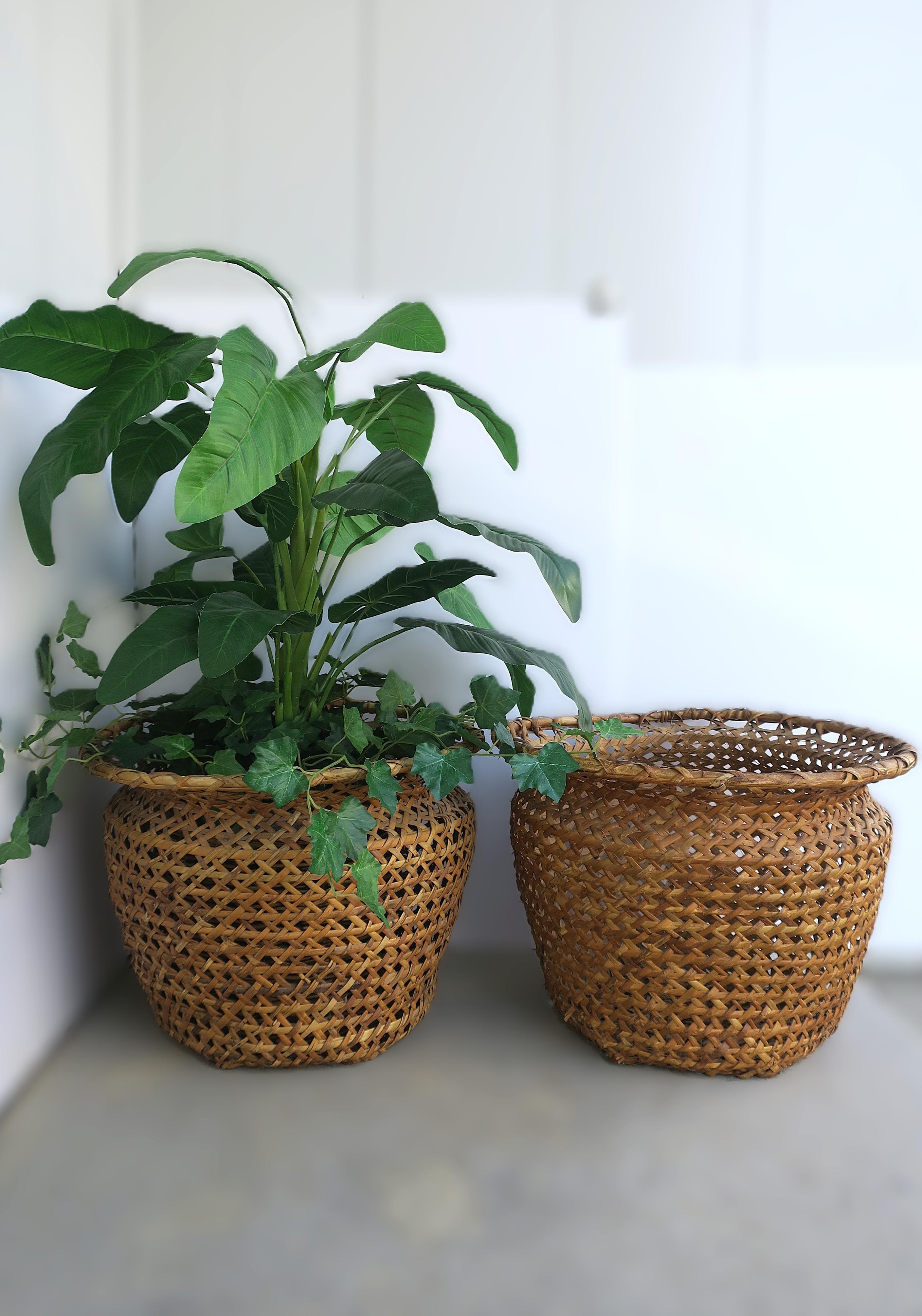 Wicker Basket Plant Cachepot im Angebot 2