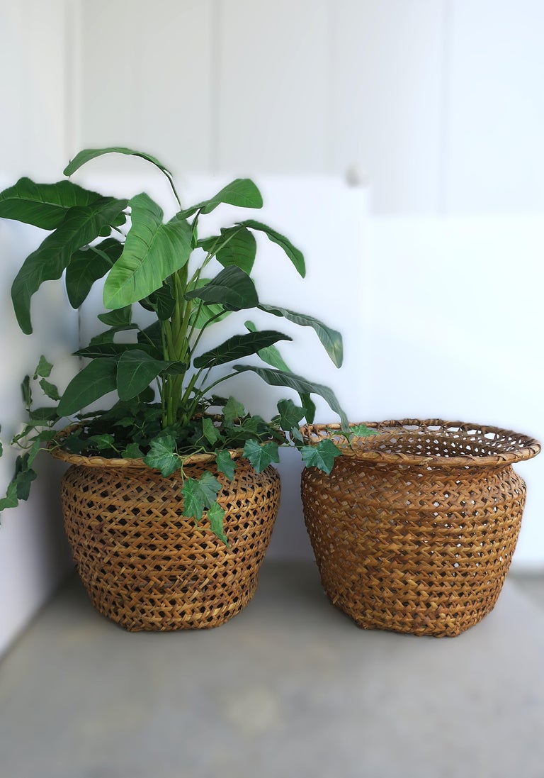 Pflanzkübel aus Korbgeflecht im Angebot bei 1stDibs Deutschland