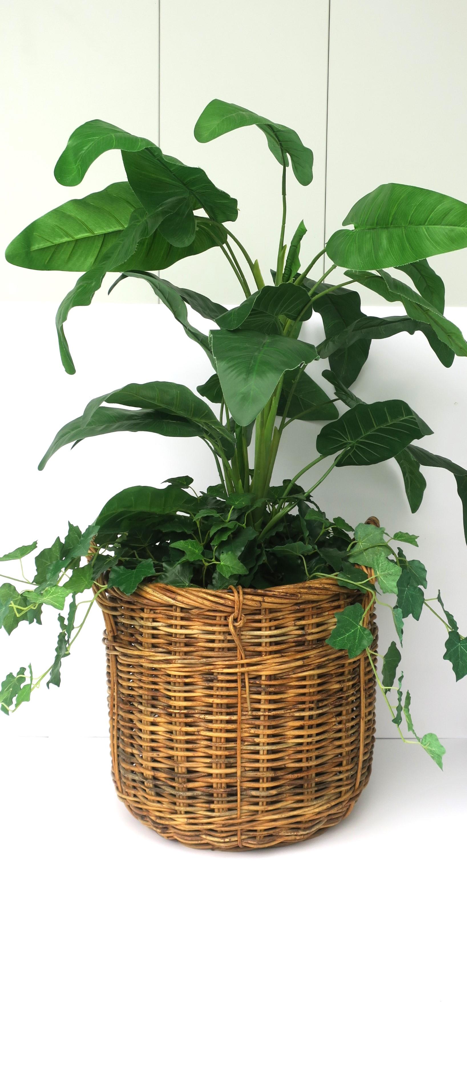 Wicker Basket Plant Potholder Cachepot or Storage For Sale 2