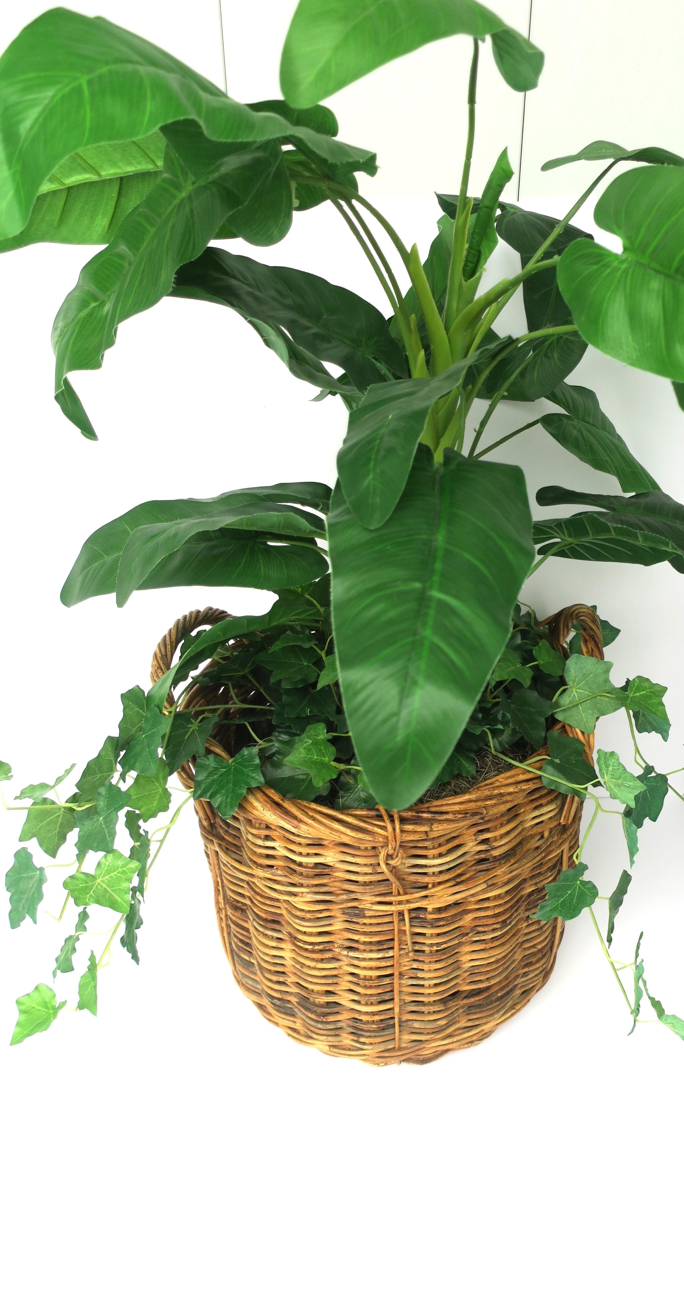 Wicker Basket Plant Potholder Cachepot or Storage For Sale 3