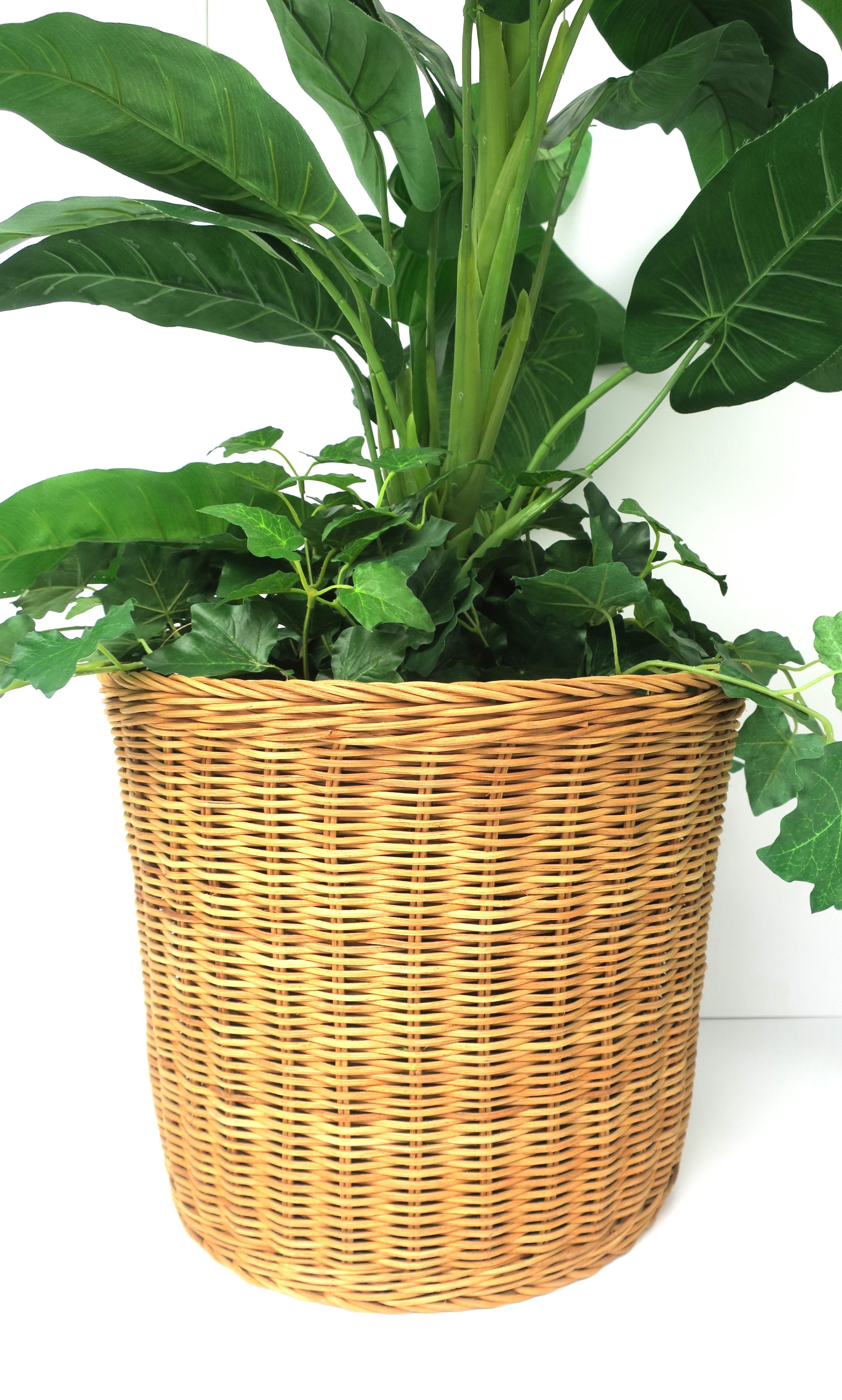 Wicker Basket Planter Cachepot or Wastebasket Trash Can 2