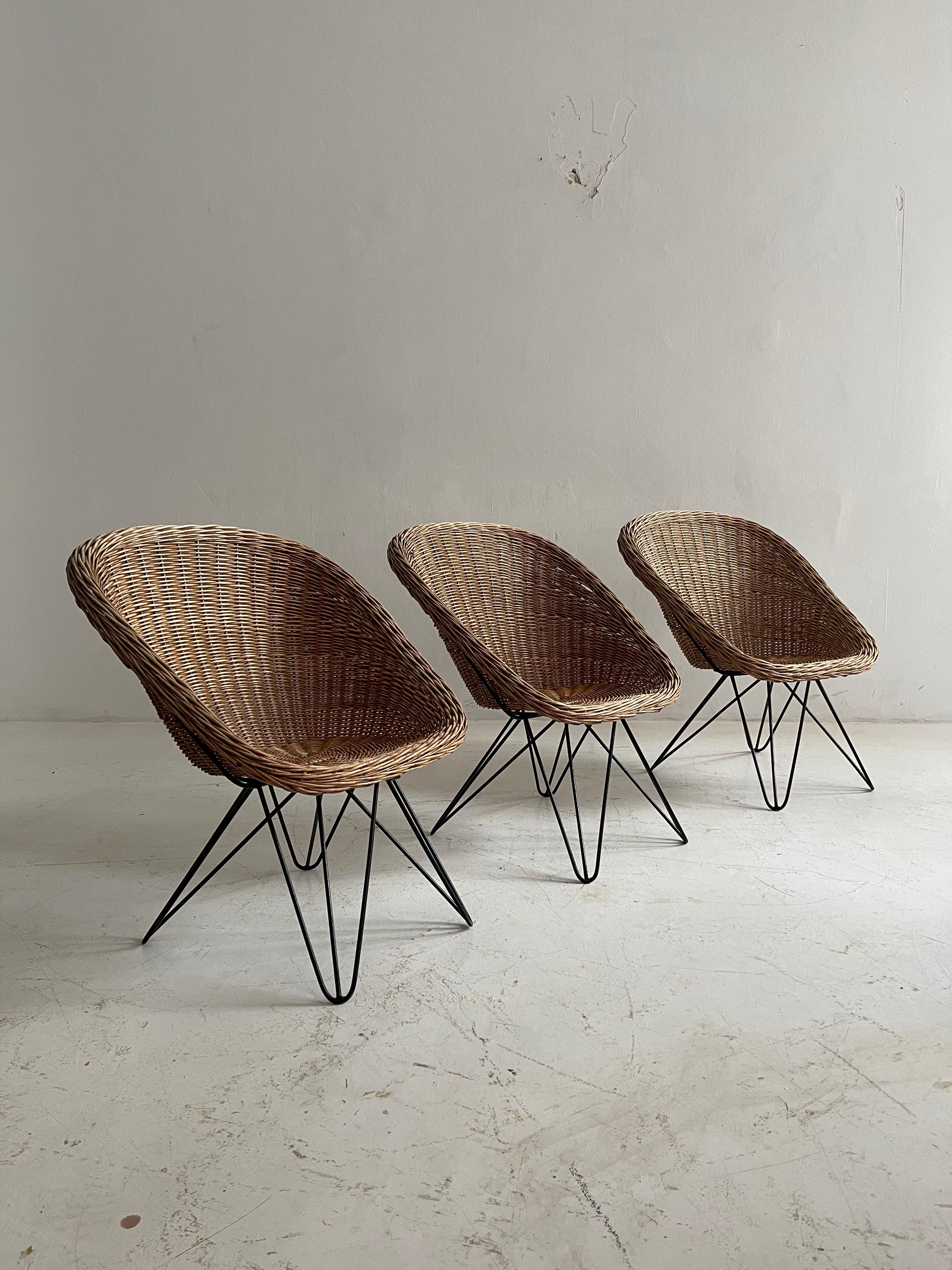 Barrel wicker lounge chairs by Sonett, Austria, 1950s.