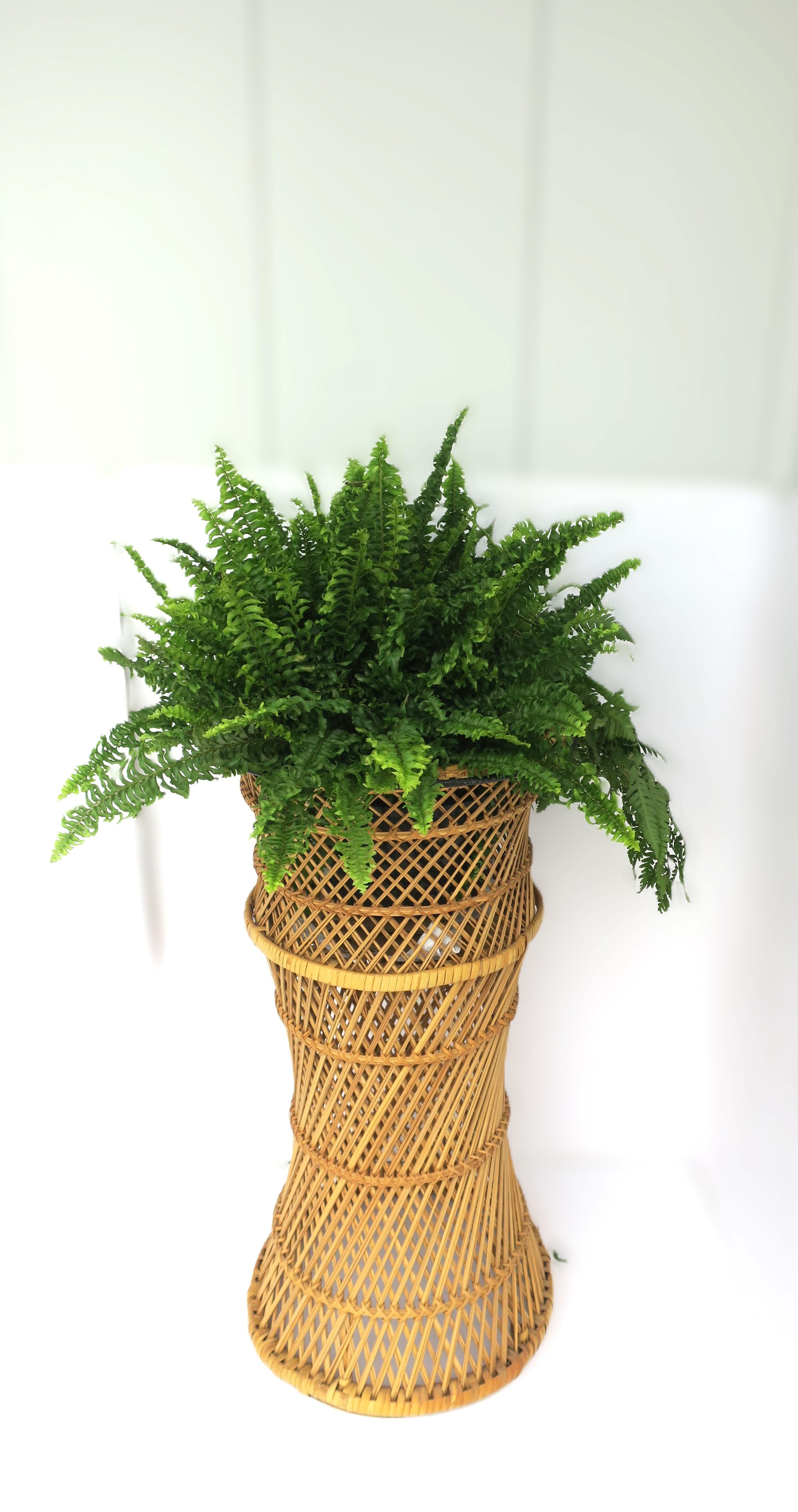 vintage wicker plant stand