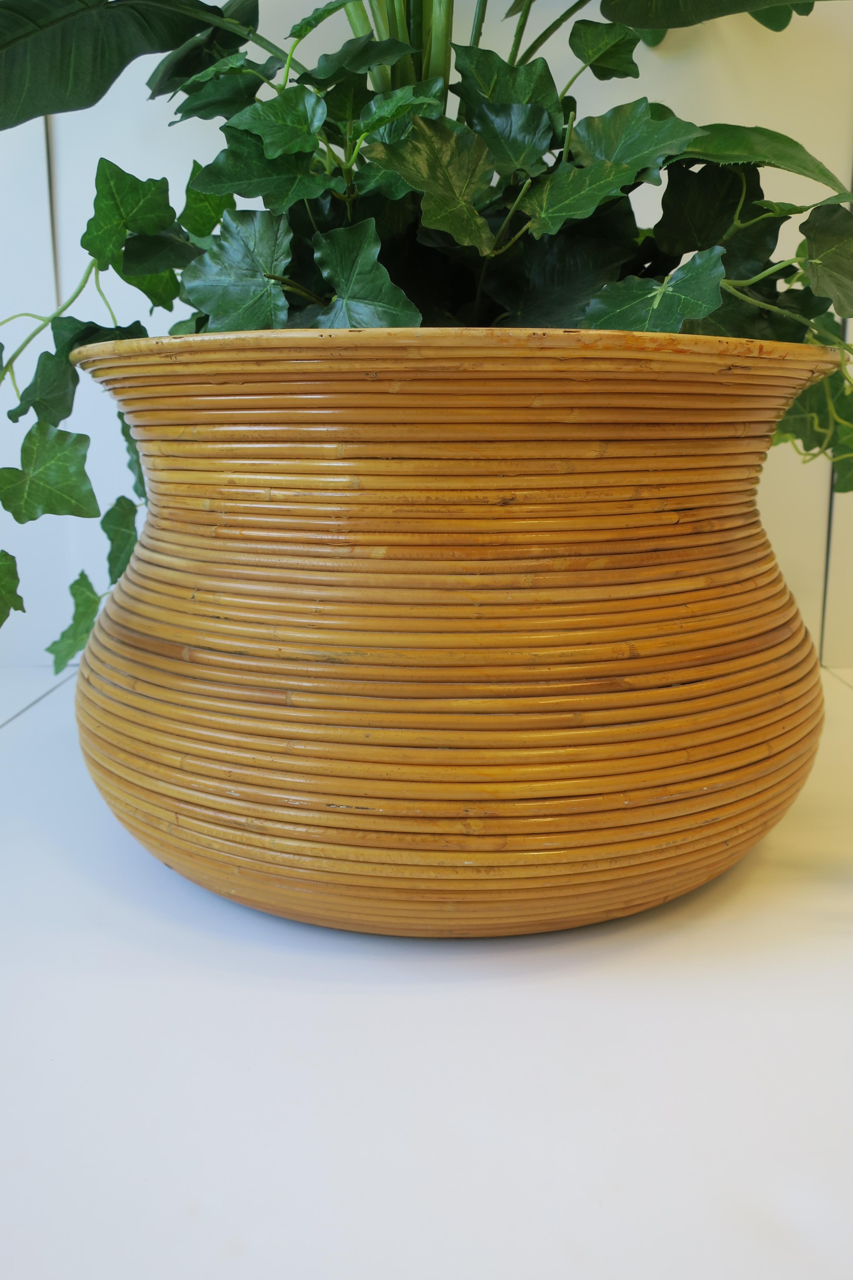 Wicker Rattan Pencil Reed Cachepot Plant Pot Holder in the Crespi Style, Large 3