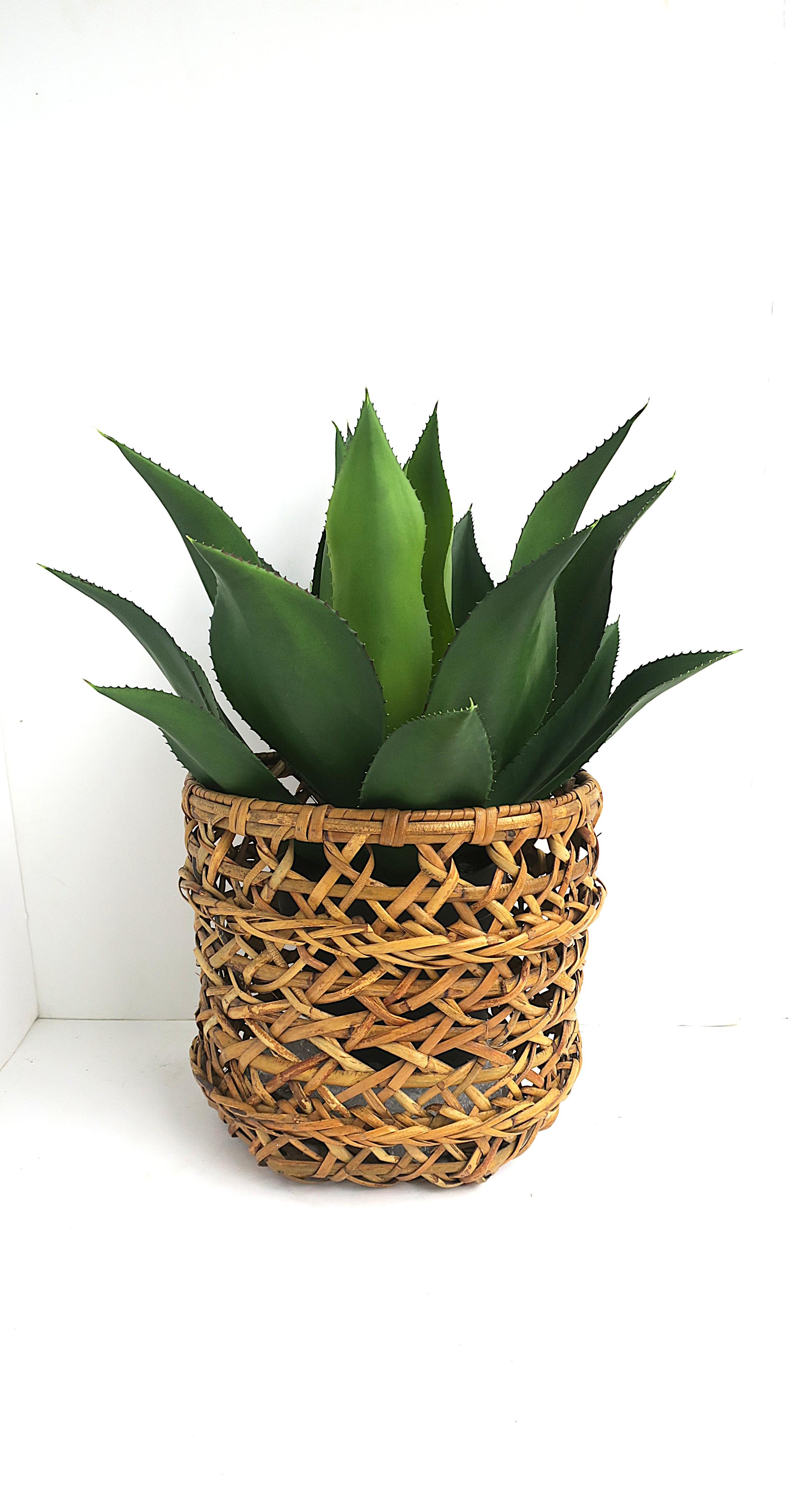 Wicker Wastebasket Trash Can or Plant Cachepot In Good Condition In New York, NY