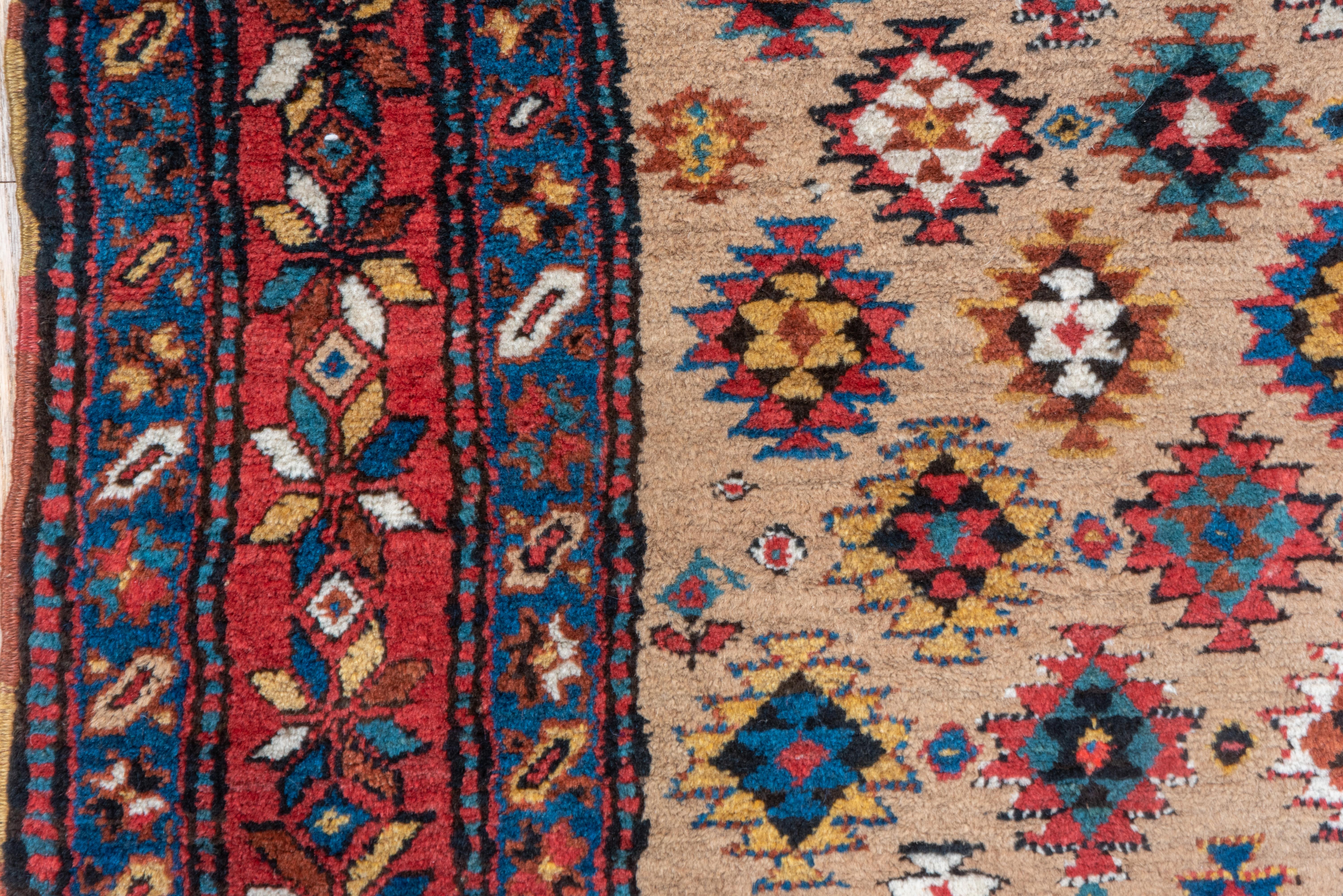 Early 20th Century Wide Antique Caucasian Runner, Light Brown All-Over Field, Red & Blue Border For Sale