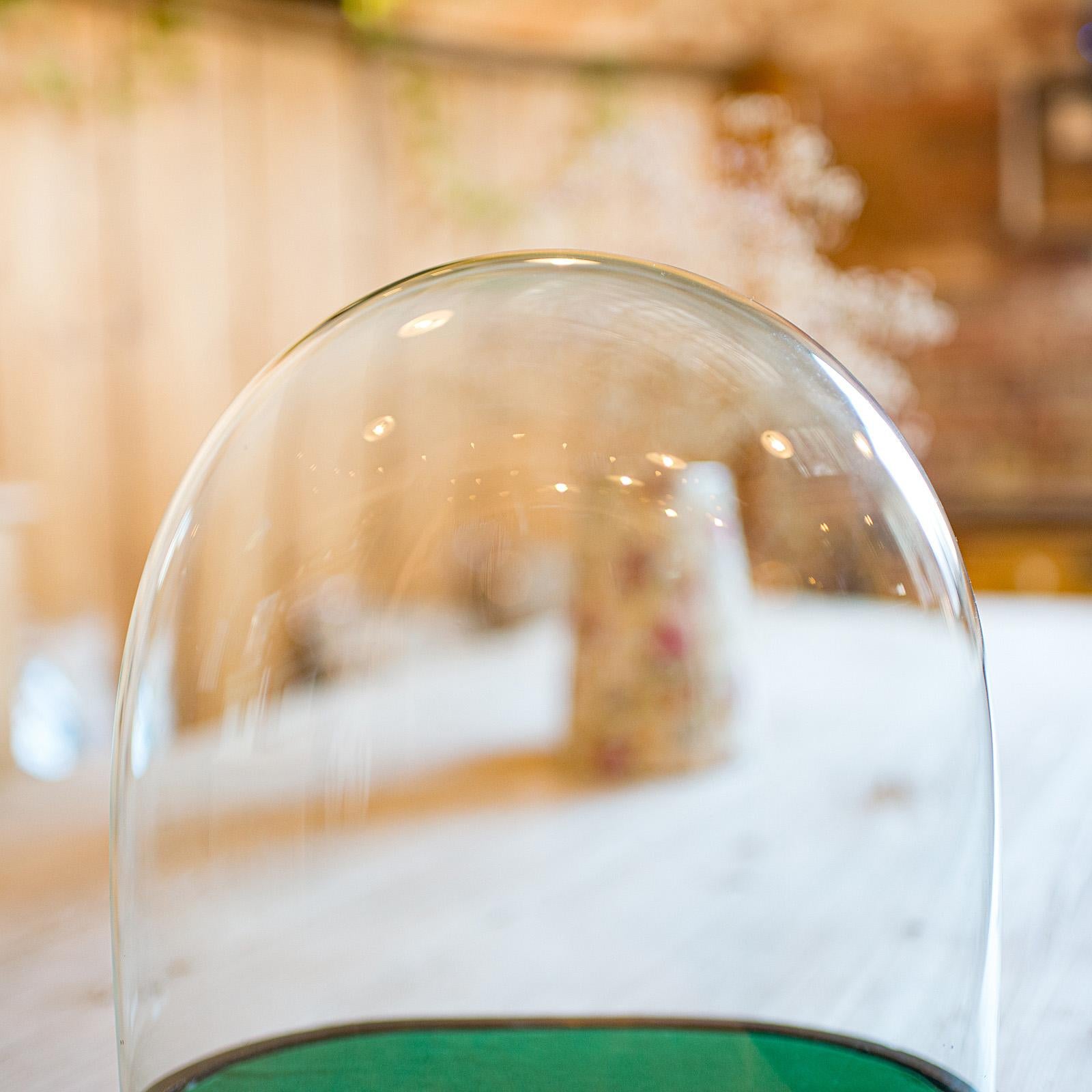 Wide Antique Clock Dome, English, Glass, Pine, Display Showcase, Victorian, 1860 In Good Condition For Sale In Hele, Devon, GB