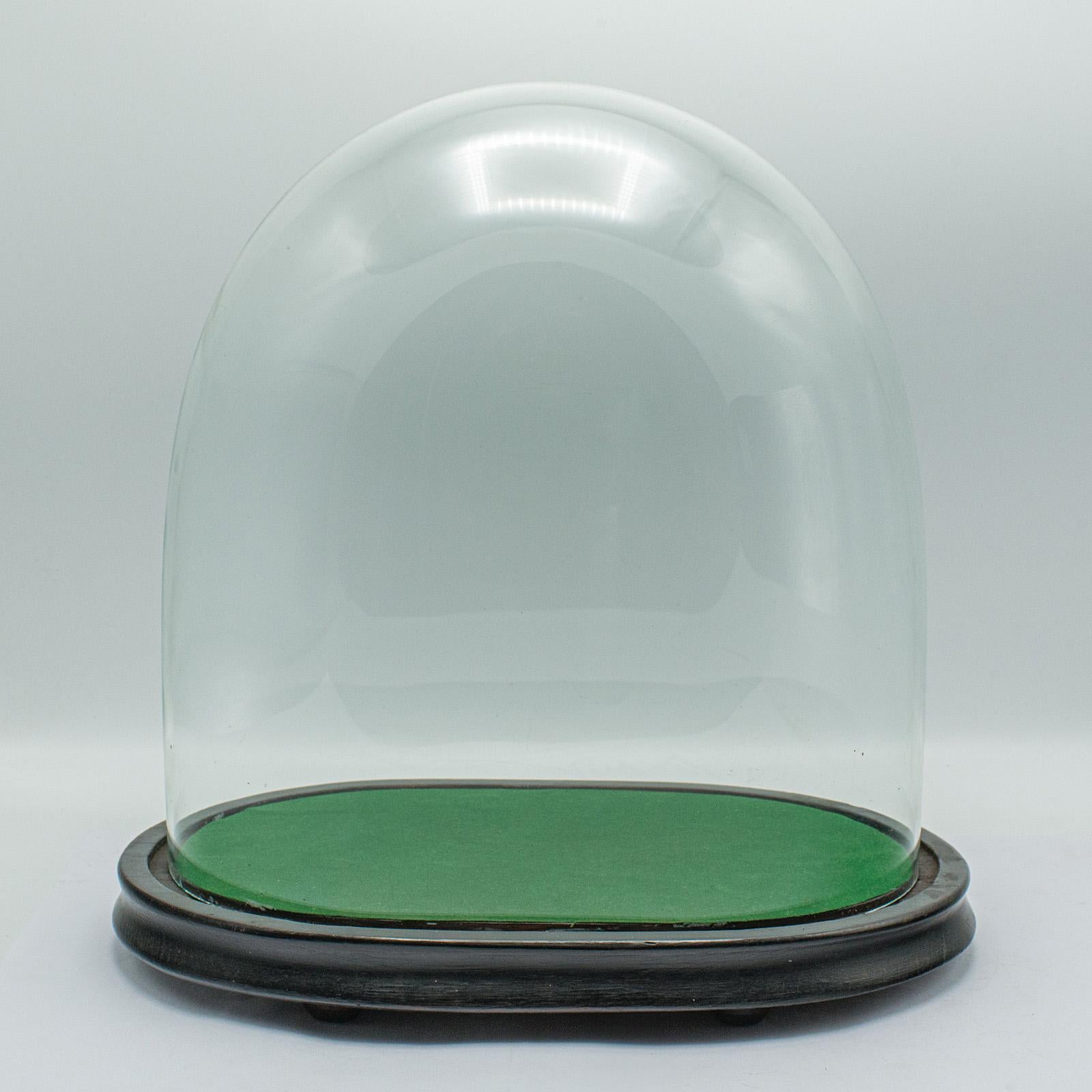 Wide Antique Clock Dome, English, Glass, Pine, Display Showcase, Victorian, 1860 For Sale 3