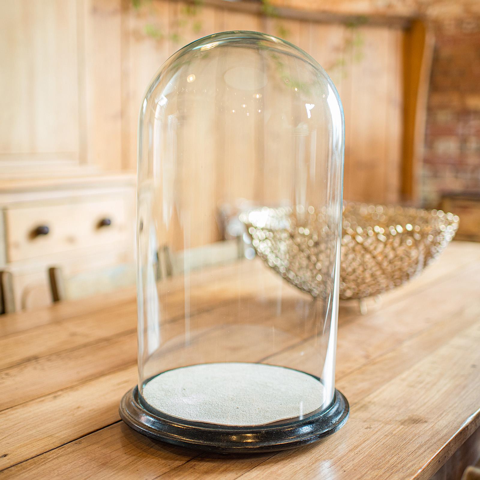 glasvitrine englisch