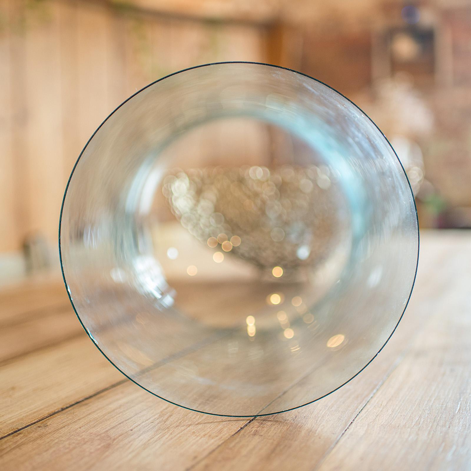 Breiter antiker Taxidermie Dome, englisch, Glasvitrine, viktorianisch, C.1870 (19. Jahrhundert) im Angebot