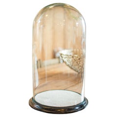 Wide Antique Taxidermy Dome, English, Glass Specimen Showcase, Victorian, C.1870