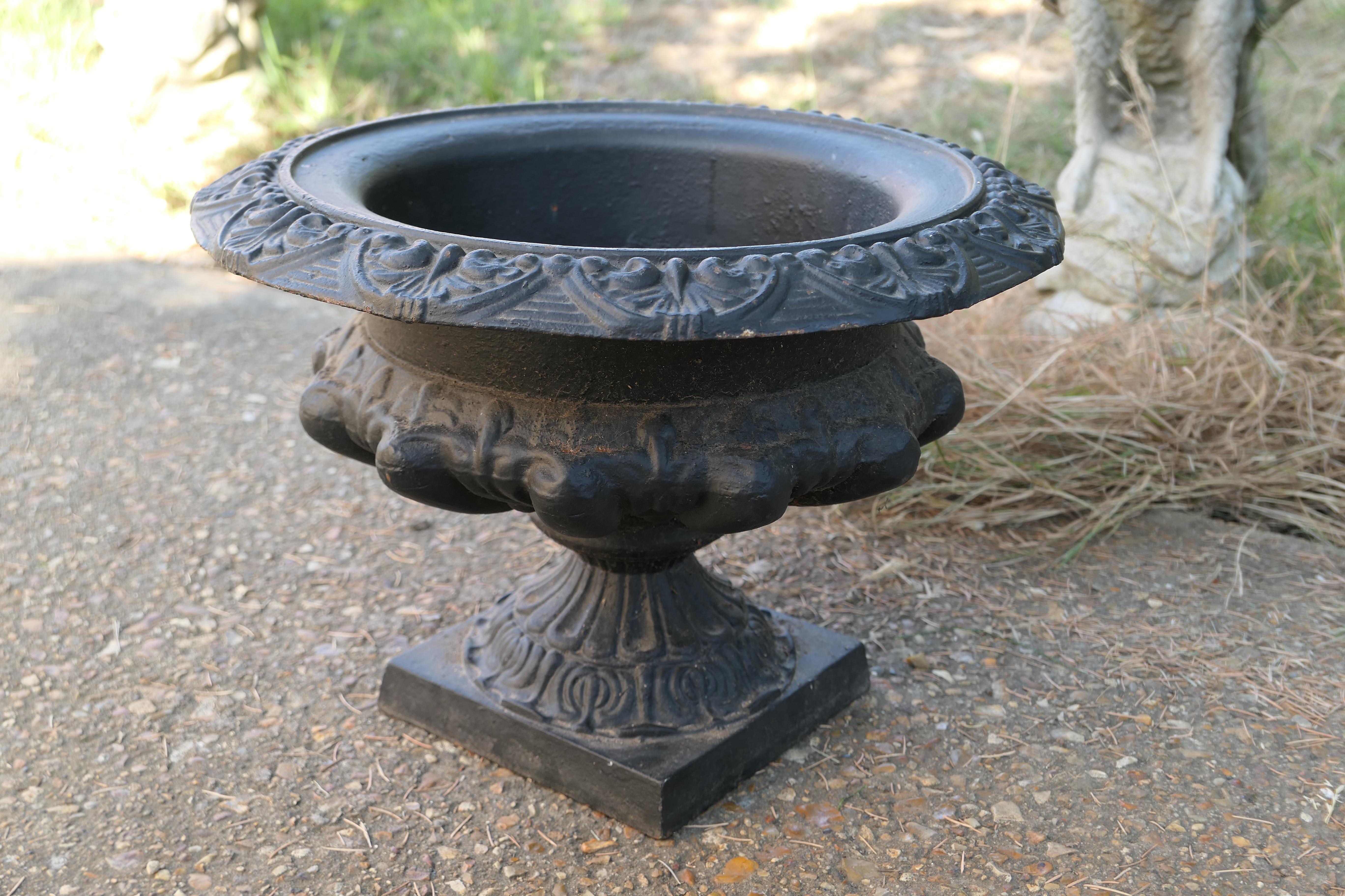 Wide Cast Iron Urn, garden planter

This is a superb large urn on a plinth, the urn is cast iron with its own plinth
The urn and stand is in very good condition it is weather worn and has slightly rusty paint which has protected it from the