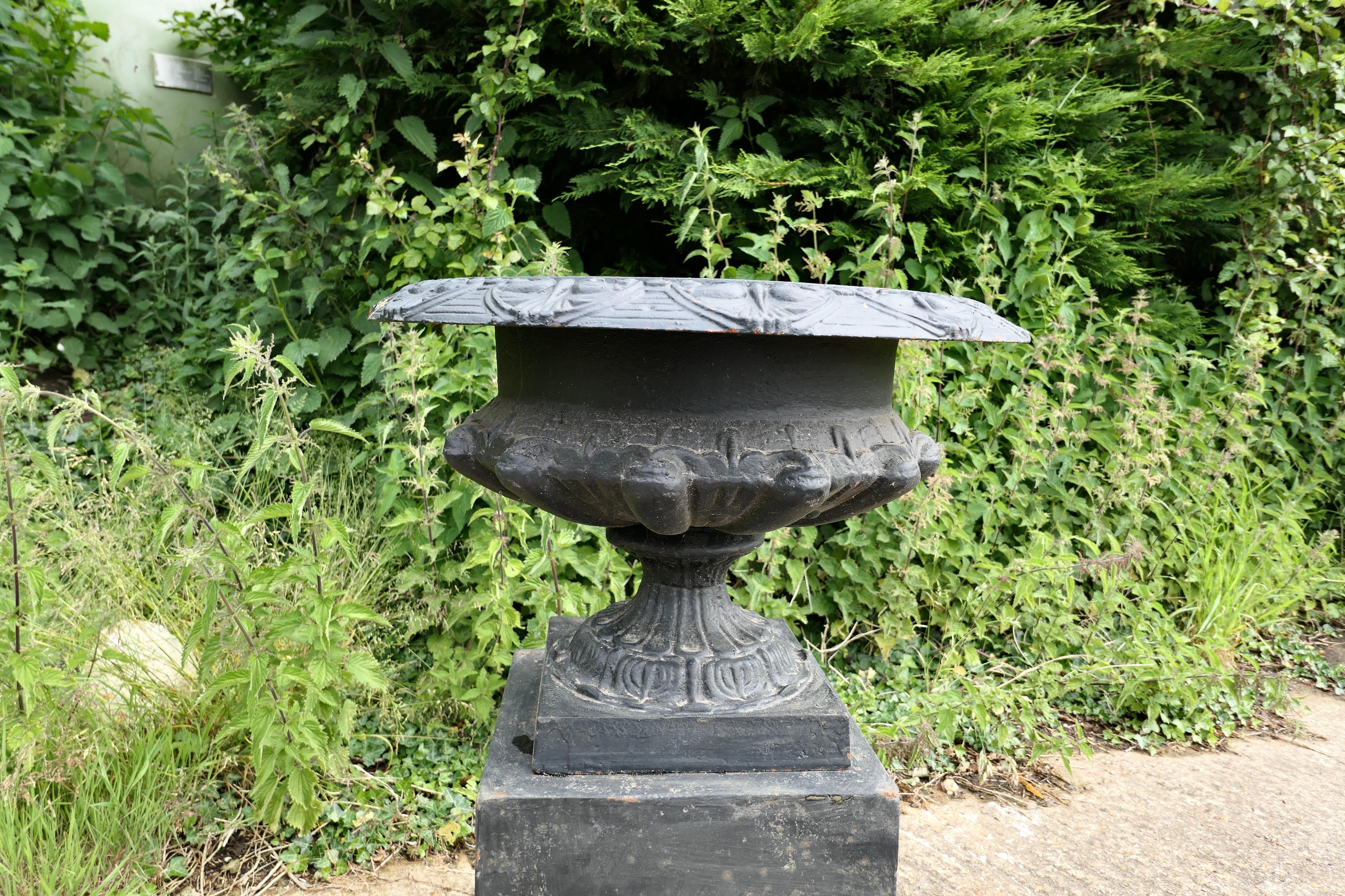 Mid-20th Century Wide  Cast Iron Urn, Garden Planter
