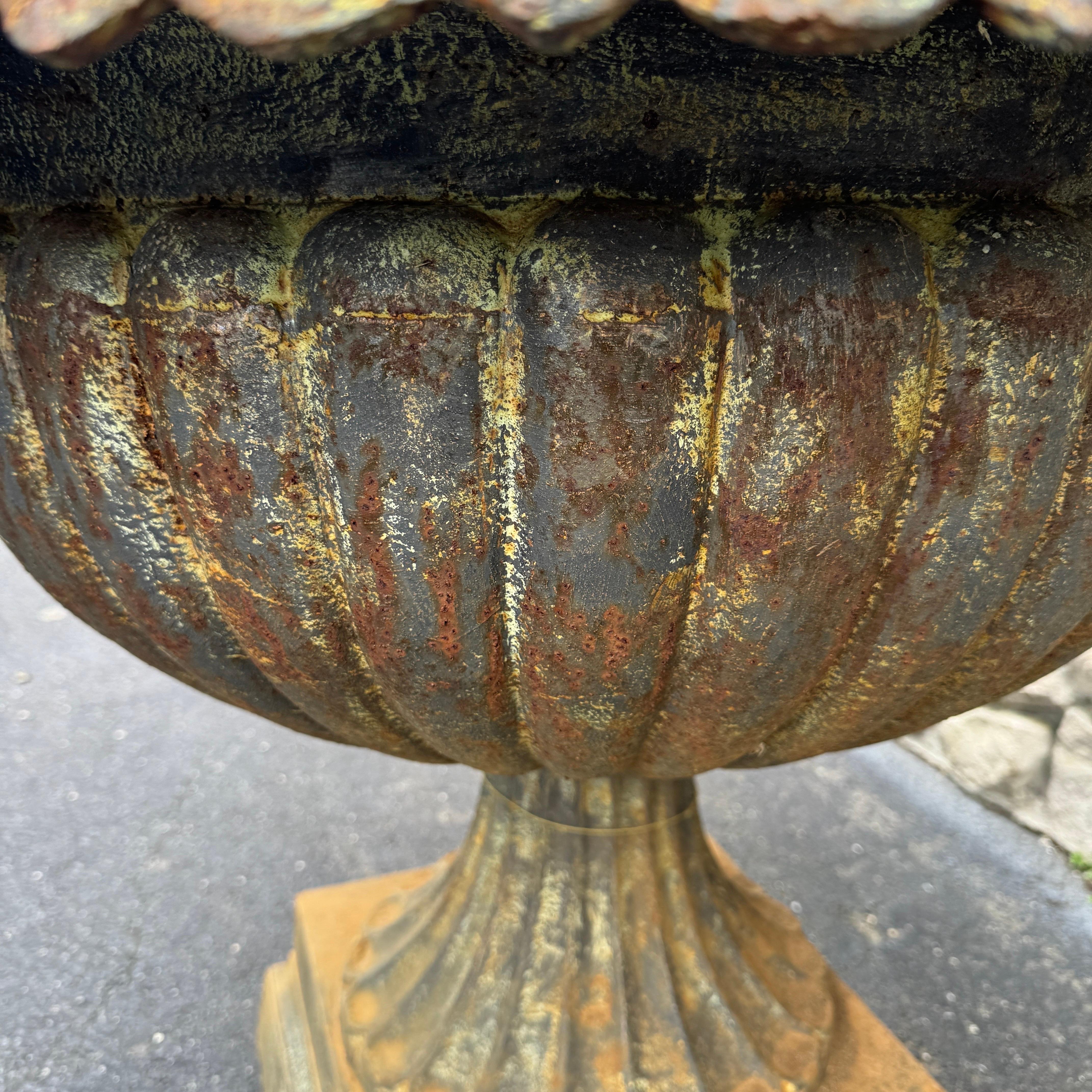 Large Wide-diameter Cast Iron Urn, Garden Planter For Sale 3