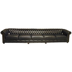 Used Wide English Five-Seat Chesterfield Sofa in Plain Black Leather