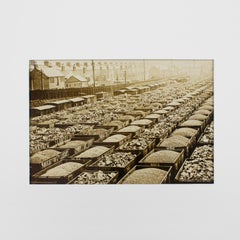 Rail Freight Station in Wales, England 1930 Silver Gelatin B and W Photography
