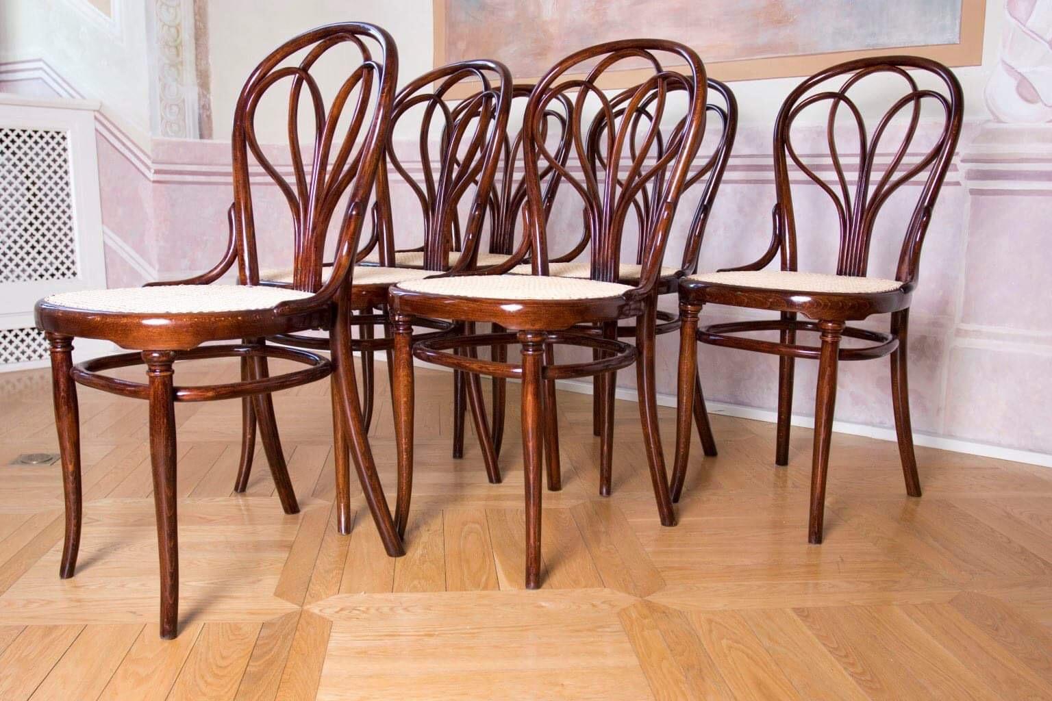 These fan-shaped chairs are beautiful and fully compatible with the Vienna Secession. These chairs have been completely restored and new reeds. It's 9 chairs available.