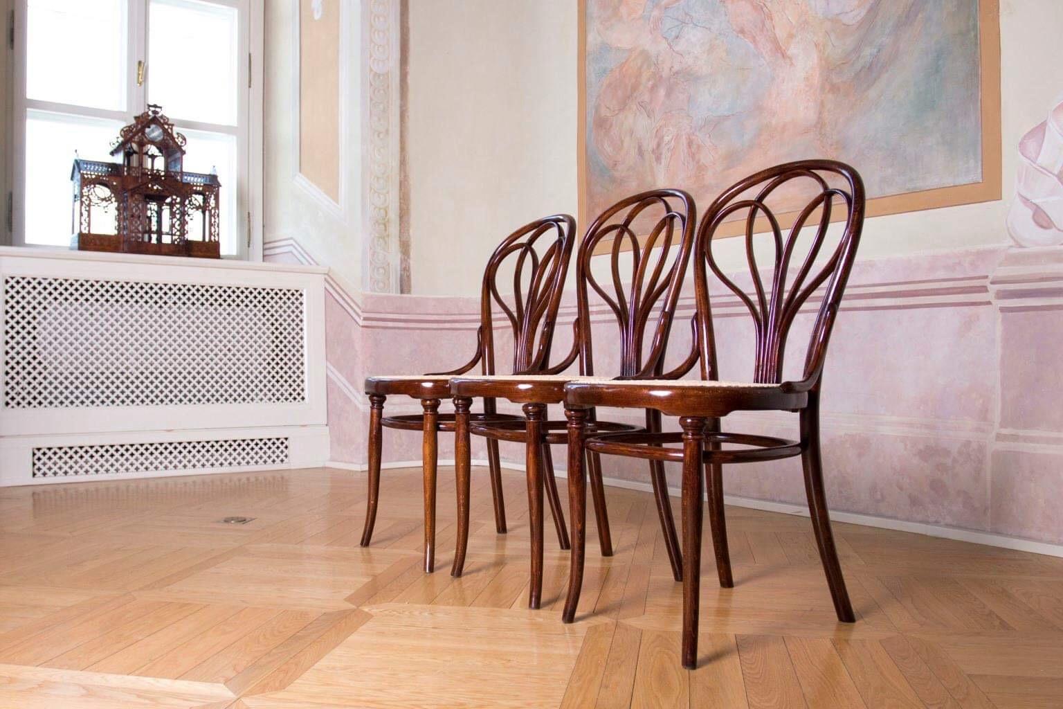 Late 19th Century Wien Thonet Secession Chairs No.25 For Sale