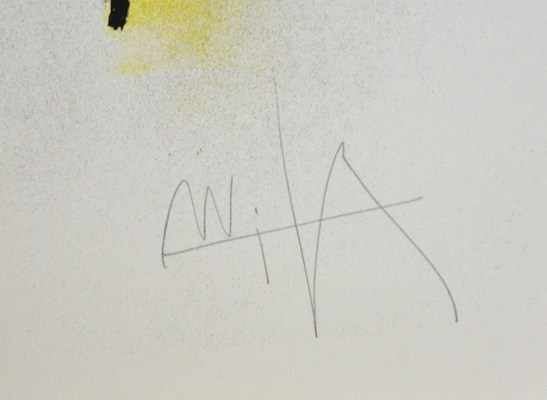 Wifredo Lam, cartella completa di sei litografie, Leu Feu Vert (Late 20th Century) im Angebot
