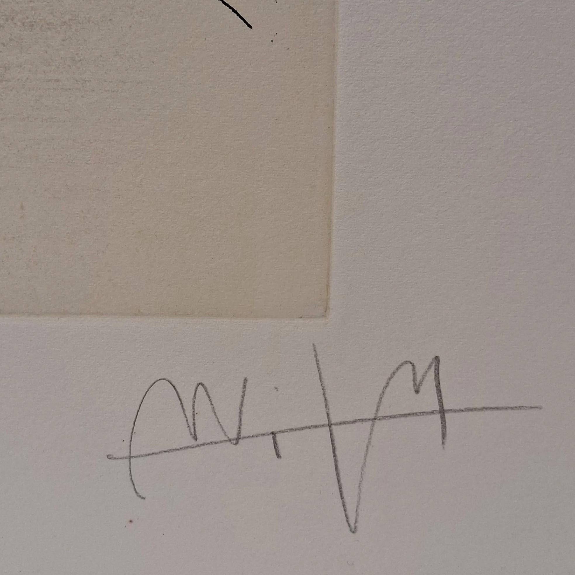 Visible invisible For Sale 3