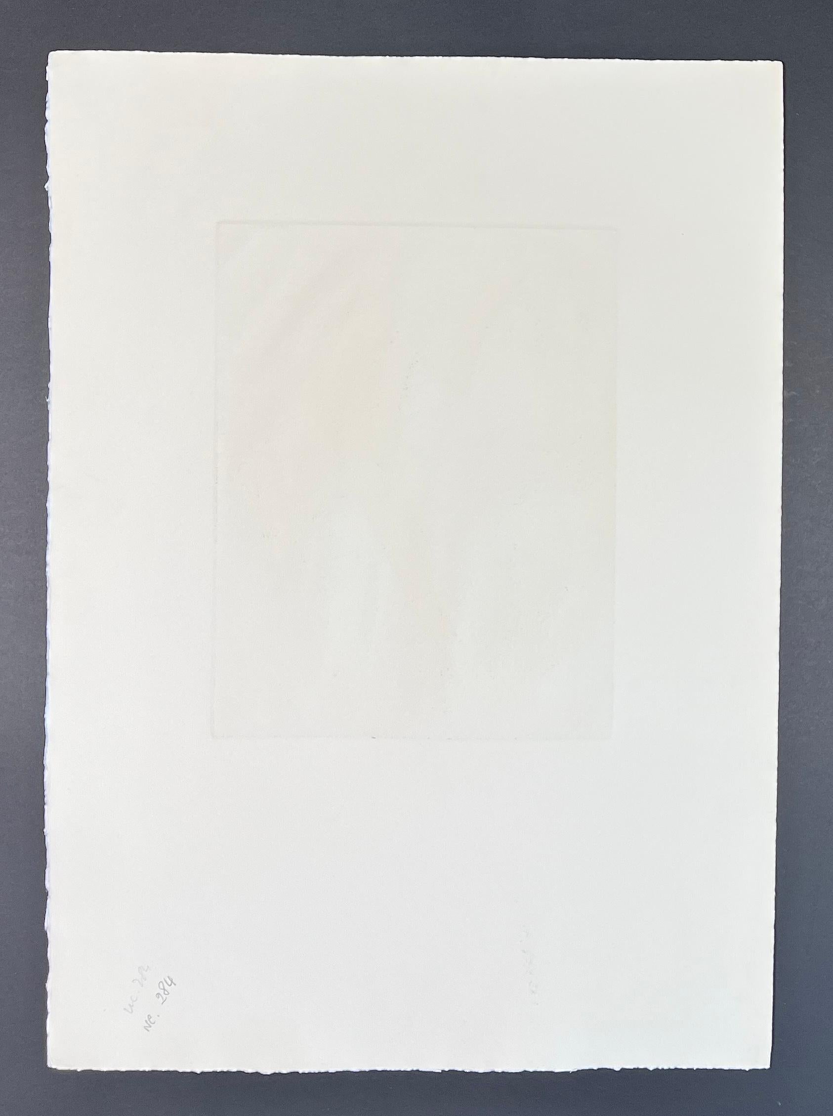 Wifredo Lam (1902-1982) - Coloured etching and aquatint - 1966 For Sale 6