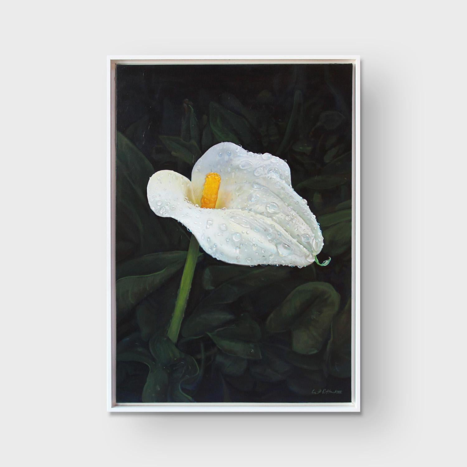 Realistisches Blumengemälde, „Misted Calla Lilly One“, 2023 – Painting von Wilbur Hawk
