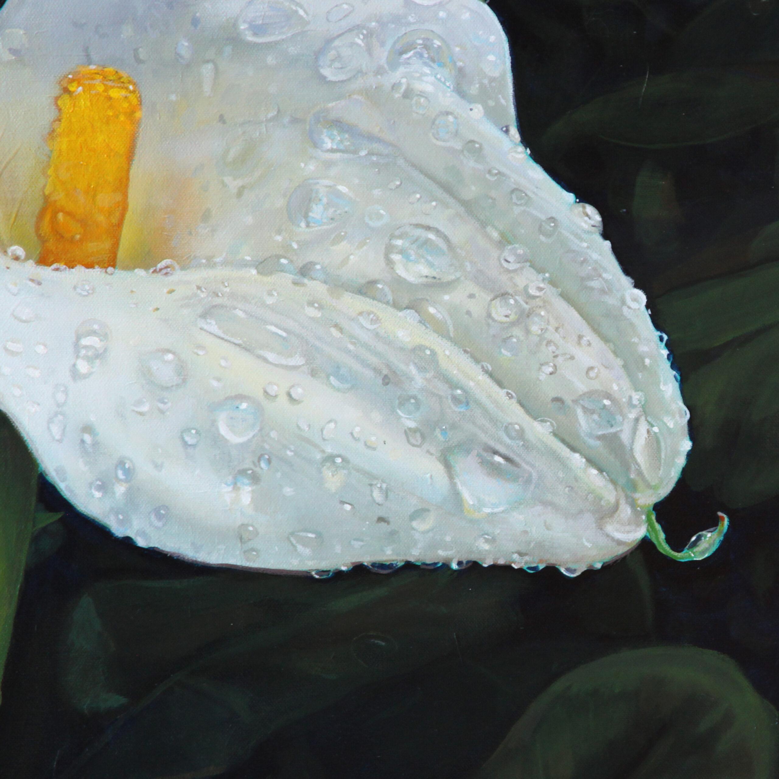 Realistisches Blumengemälde, „Misted Calla Lilly One“, 2023 (Realismus), Painting, von Wilbur Hawk