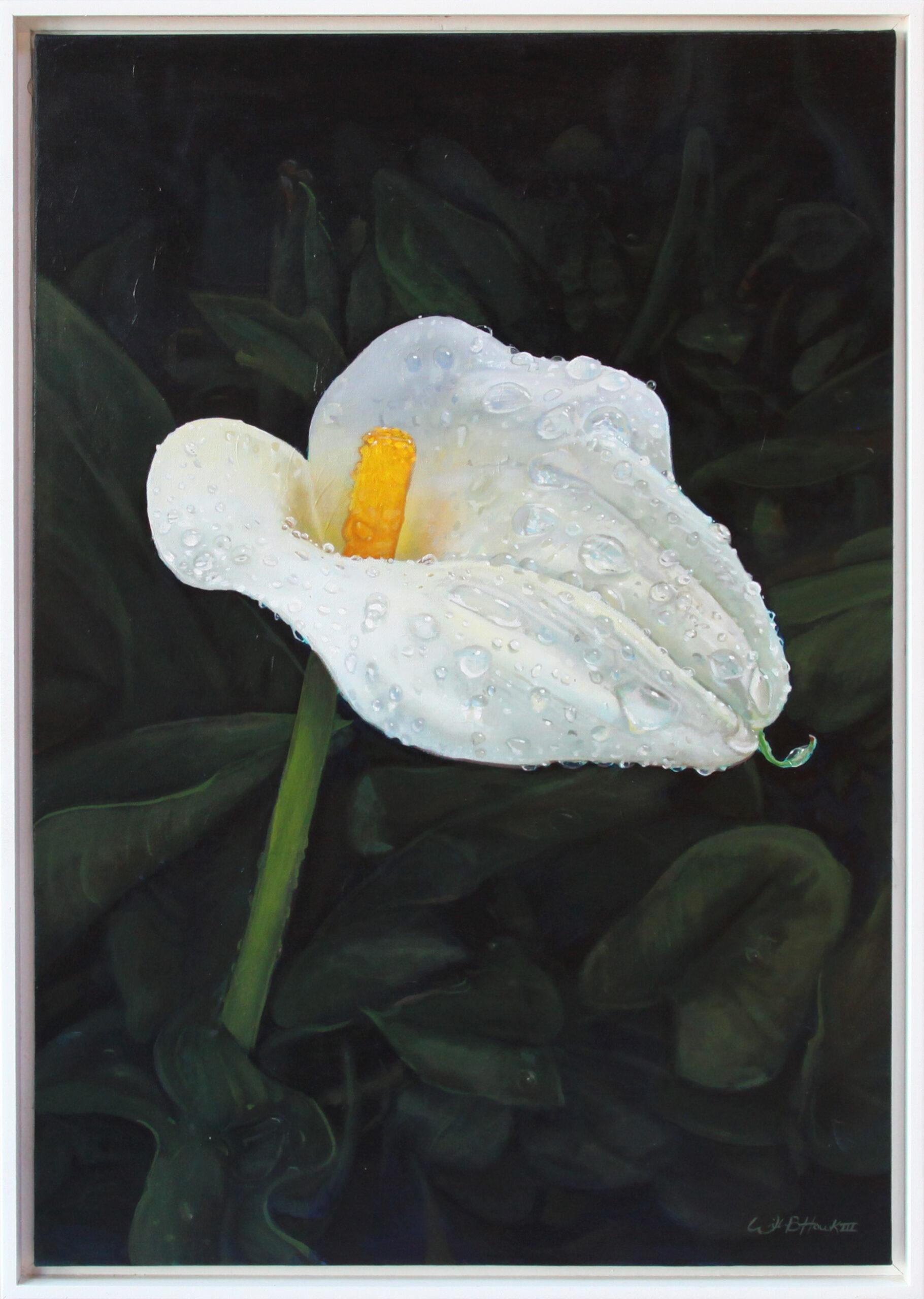 Wilbur Hawk Landscape Painting – Realistisches Blumengemälde, „Misted Calla Lilly One“, 2023