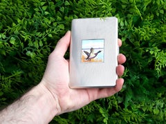 Wilcox Sterling Silver and Enamel Cigarette Case