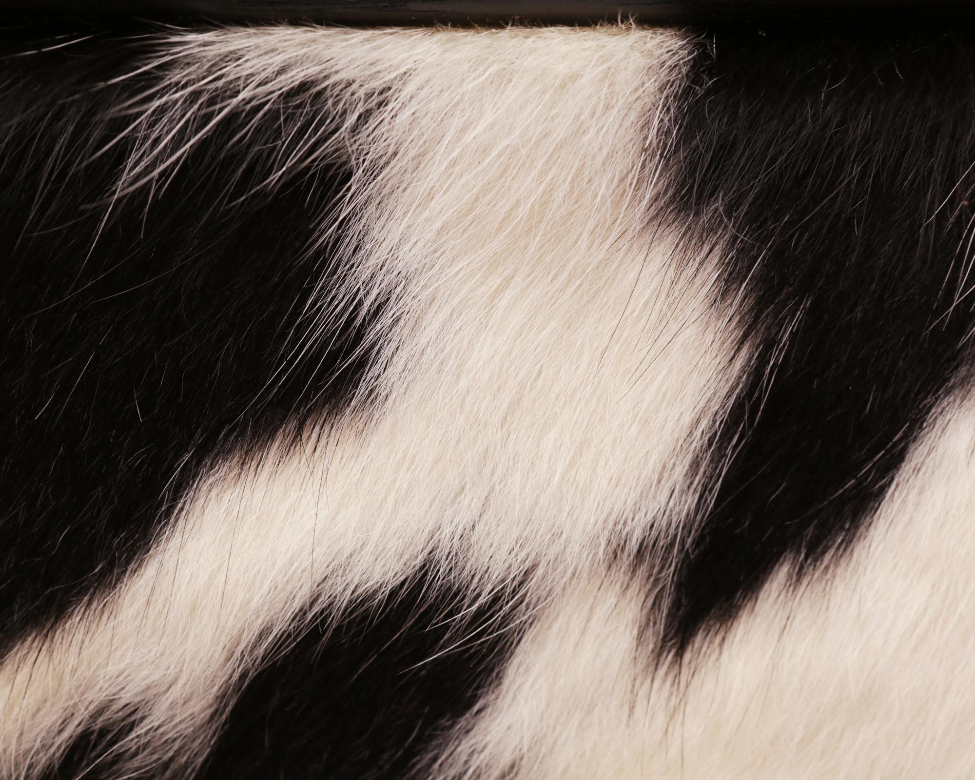 Wild Black and White Cowhide Medium High Chest For Sale 3