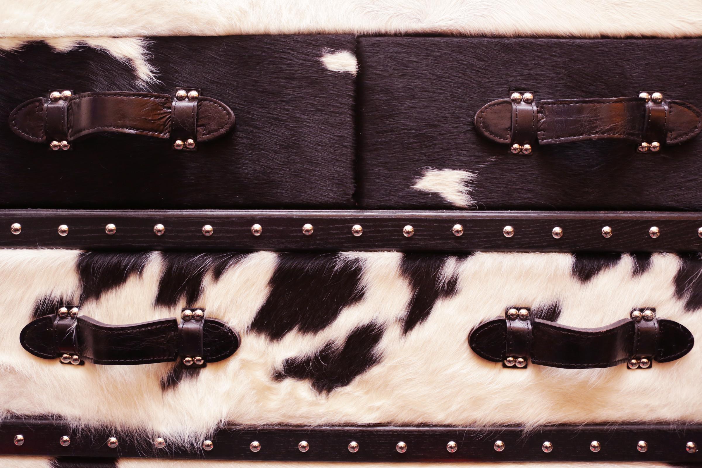 Hand-Crafted Wild Black and White Cowhide Medium High Chest For Sale