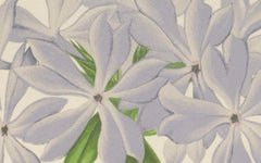 Wild Blue Phlox (Phlox Divaricata), Hand-Coloured Botanical Print, 1874