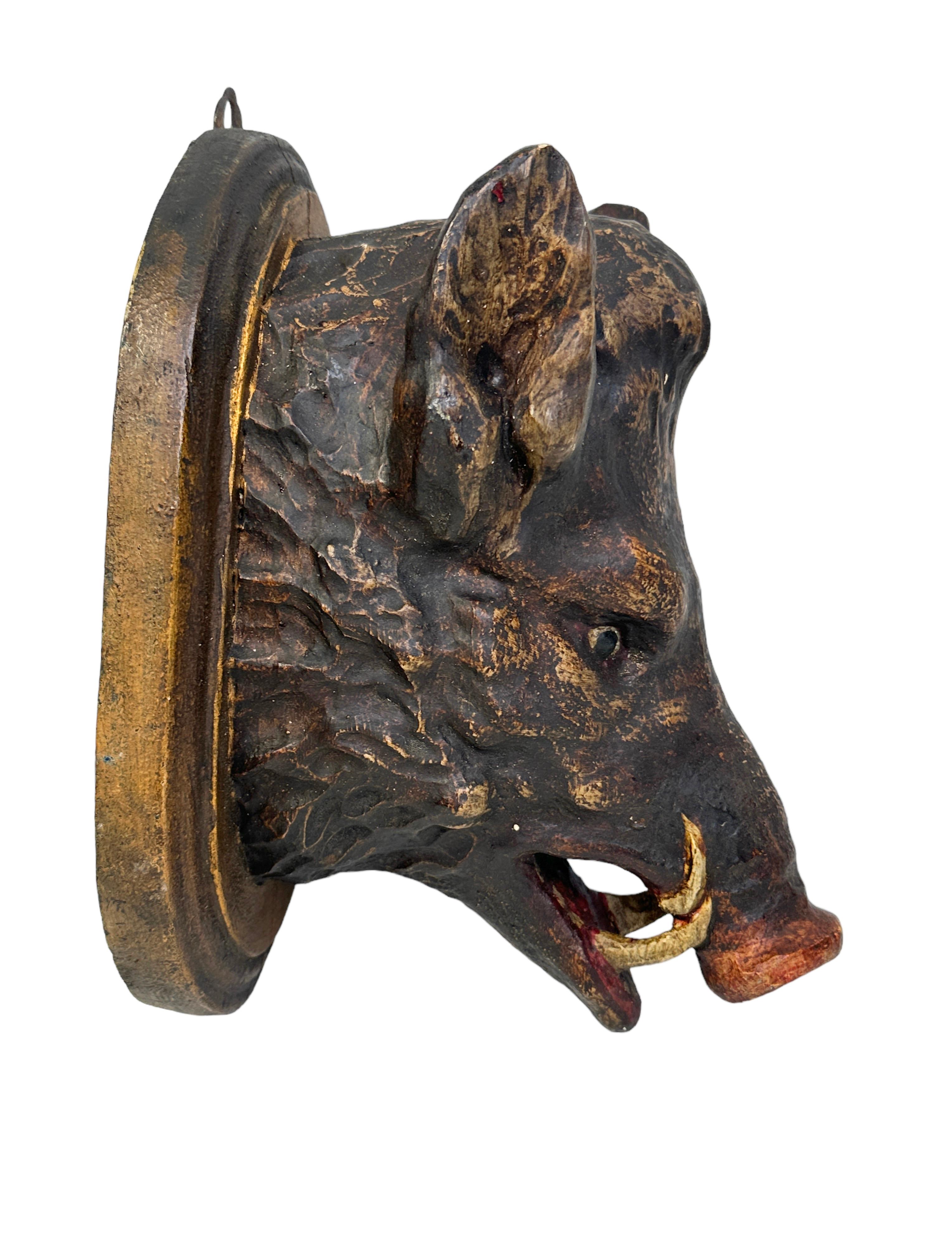 Wild Boar Head Black Forest Hand Carved Folk Art Wooden Trophy, 19th Century 4