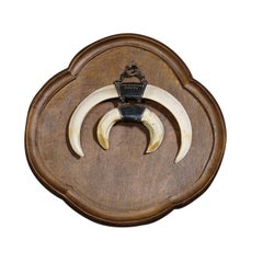 Wild Boar Trophy on Wooden Plaque, Germany circa 1970s