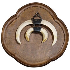 Wild Boar Trophy on Wooden Plaque, Germany circa 1970s